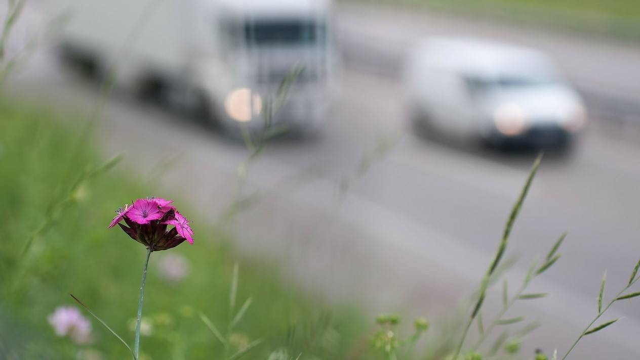 MOFs-traffic|Metal-organic frameworks-MOFs